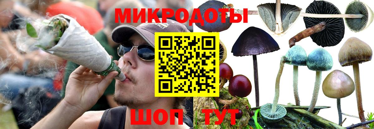 Нефтекумск  Псилоцибиновые грибы Magic Shrooms  Вход с VPN 