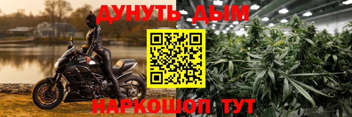 Бошки марихуана MAZAR  Вход с VPN  Бошки Шишки Bruce Banner  Нефтекумск  Шишки марихуана конопля 